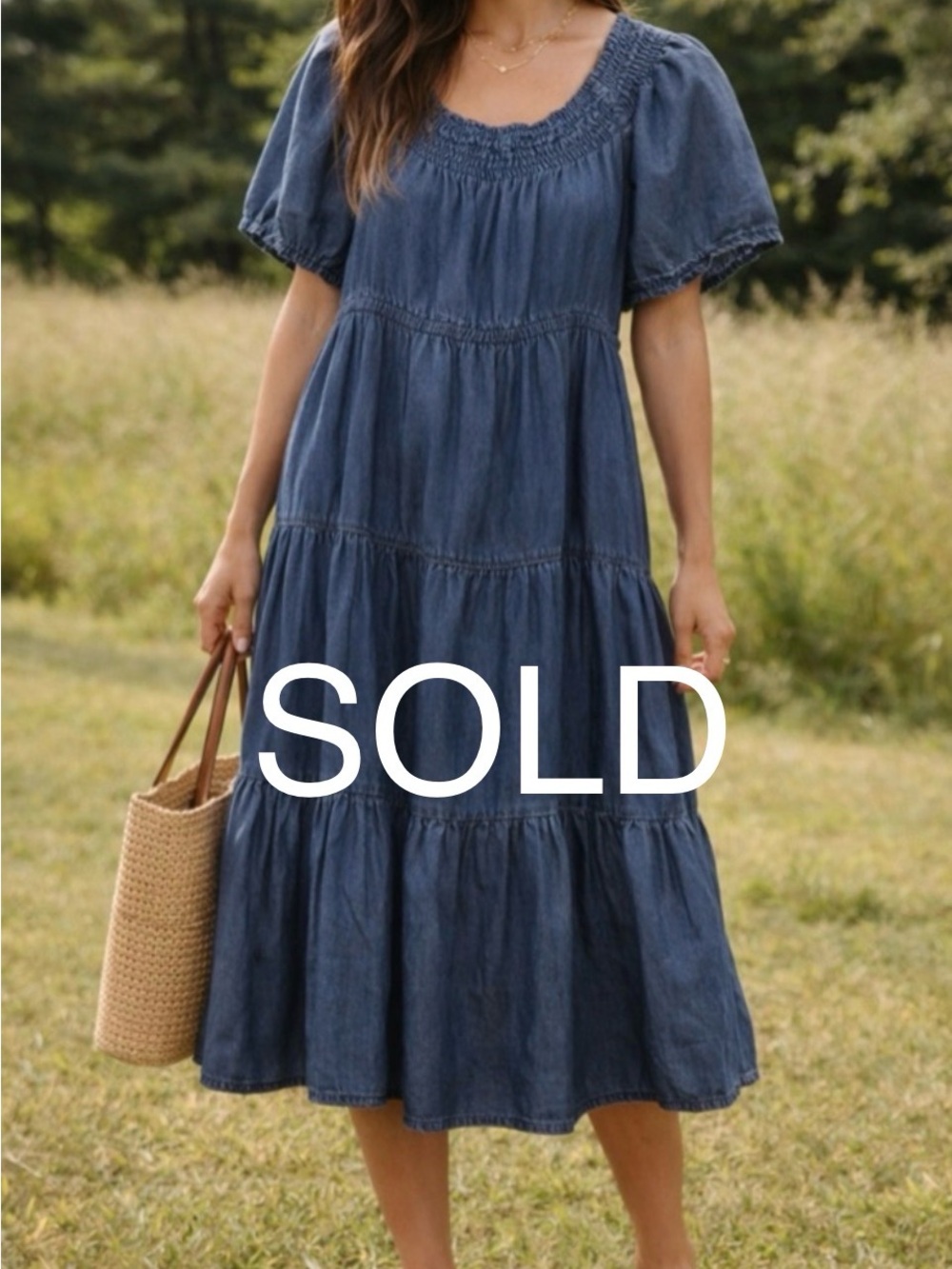 NOT FOR SALE Casuals Tencel Smocked Denim Style Dress Flutter Sleeve Tiered L